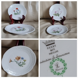 white lourioux france porcelain appetizer plates set 2 multicolor botanical flowers