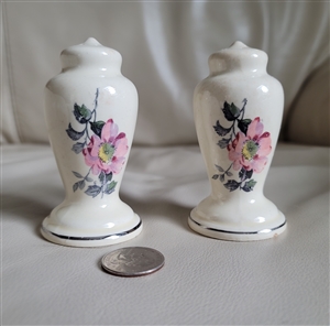 Earthenware Urn like floral Salt and Pepper shaker
