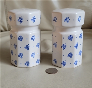 Blue florals over white porcelain set of shakers