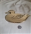 Solid brass Duck footed trivet by Rubel vintage functional surface protection for indoor and outdoors home decorative accent
