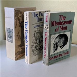 Books The Pandas Thumb Mismeasure of Man SJ Gould