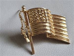 Napier gold tone American Flag brooch jewelry