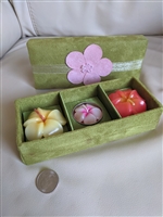 Velvet green box with 3 Plumeria tea light candles