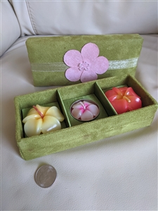 Velvet green box with 3 Plumeria tea light candles