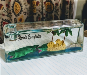 Florida lucite water globe and pen holder