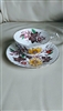 Hand painted Cartwright and Edwards teacup saucer