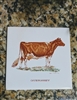 Screencraft Guernsey cow decorative tile