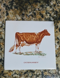 Screencraft Guernsey cow decorative tile