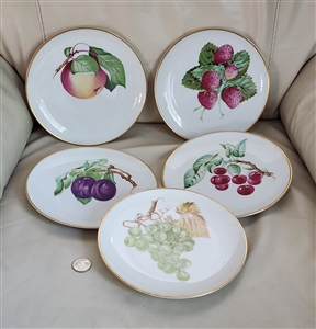 Heinrich HC Selb Bavaria fruit 8 salad plates
