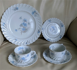 Bergere Haviland Limoges plates and teacup set 6