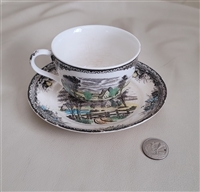 Spring Valley vintage porcelain teacup saucer set