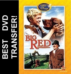 Big Red DVD 1962 Walter Pidgeon Disney Movie