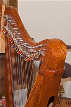 Roosebeck Minstrel Harp, 29 Strings, 5 Panel, Sheesham, Chelby Levers
