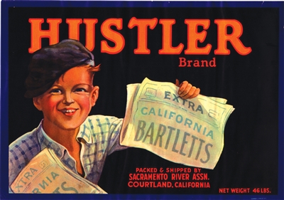 the hustler brand fruit label
