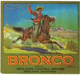 bronco orange crate label