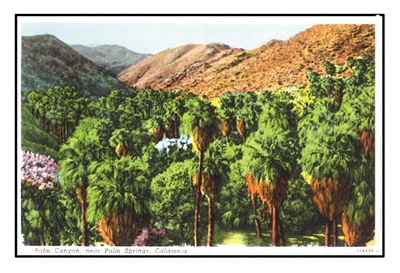 vintage palm springs postcards