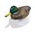 PoolMaster Clori-duck Mallard Chlorine Dispenser # 32130