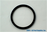 A&A Manufacturing Gamma III Cleaning Head O-ring # 548308