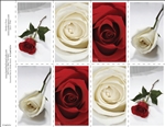 651-r Assorted Red & White Roses 8-Up Prayer Card