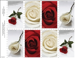 651-r Assorted Red & White Roses 8-Up Prayer Card