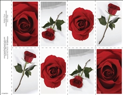 652-r Assorted Red Roses 8-Up Prayer Card