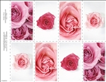 655-r Assorted Pink Roses 8-Up Prayer Card