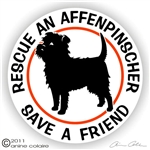 Affenpinscher Decal