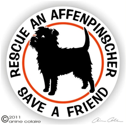 Affenpinscher Decal