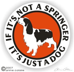 Springer Spaniel Decal