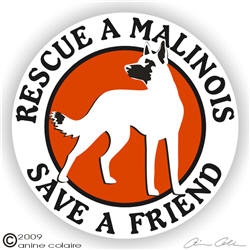 Belgian Malinois Window Decal