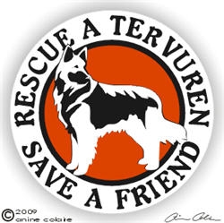 Belgian Tervuren Window Decal