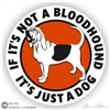 Bloodhound  Decal