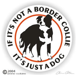 Border Collie Decal