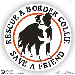 Border Collie Decal