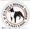 Boston Terrier Decal