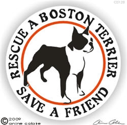 Boston Terrier Decal