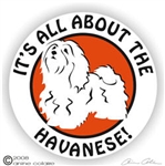 Havanese Decal