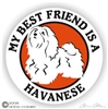 Havanese Decal