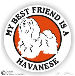 Havanese Decal