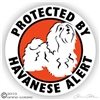 Havanese Decal