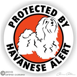 Havanese Decal