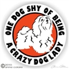 Havanese Decal