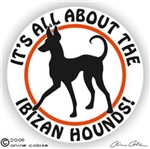 Ibizan Hound Decal