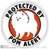 Pomeranian Decal