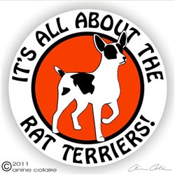 Rat Terrier Decal