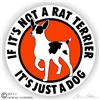 Rat Terrier Decal