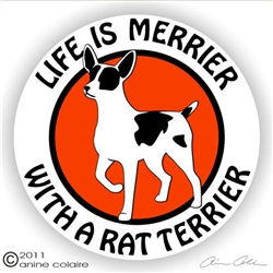 Rat Terrier Decal