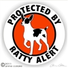 Rat Terrier Decal