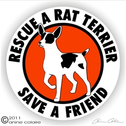 Rat Terrier Decal