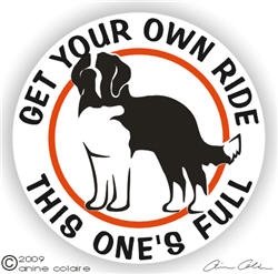 Saint Bernard Decal